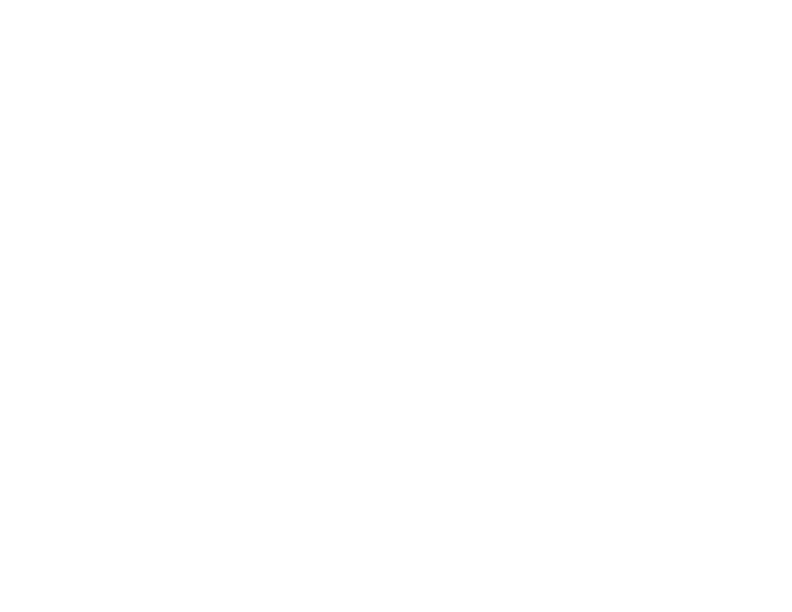 SILVER CAPILAR